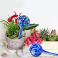 Miniatyrbild 2 av 4: Hydro Globes Mini automatiska bevattningslampor, Deluxe Set med 2 delar XU8CE7