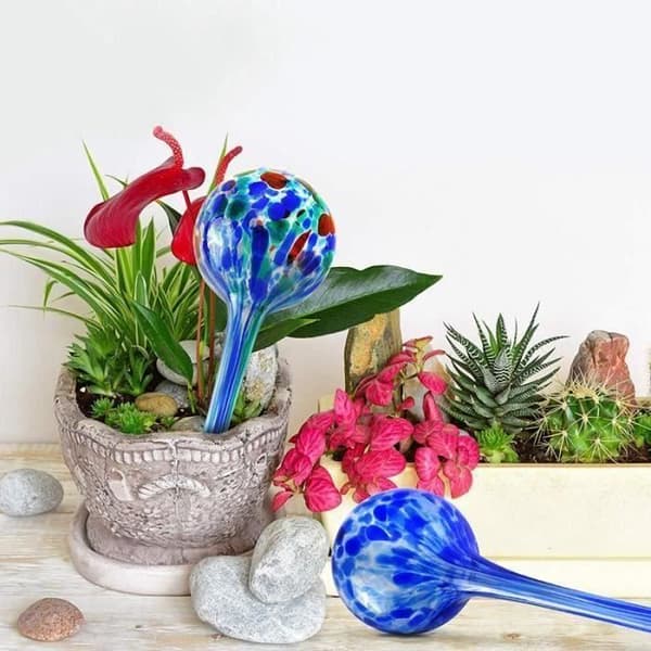 Hydro Globes Mini automatiska bevattningslampor, Deluxe Set med 2 delar XU8CE7