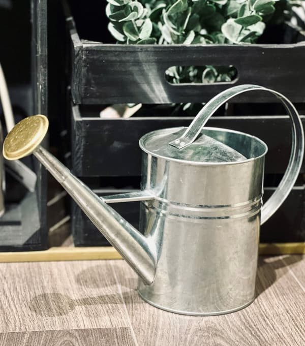 Vattenkanna Zink 1,9 l