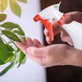 Miniatyrbild 5 av 6: Relaxdays sprayflaska 1 L, set med 3, växter, spray, blommor, trädgårdsskötsel, dimma, examen, vattning, vit-blå -