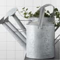 Miniatyrbild 5 av 6: Vattenkanna - Ej specificerad - Ej specificerad - Patinerad zink - 8,7L - 56x24x31cm
