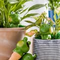 Miniatyrbillede 4 af 7: Lollanda lerkegle til vandingssæt – 4-pak 90 ml vandingskugler til automatisk selvvanding, frøformet til indendørs planter