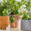 Miniatyrbillede 7 af 7: Lollanda lerkegle til vandingssæt – 4-pak 90 ml vandingskugler til automatisk selvvanding, frøformet til indendørs planter