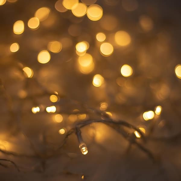 Forever String Light 100LED 8m - Varm Vit