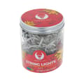 Miniatyrbild 6 av 6: Forever String light 100LED 8m - Flerfärgad