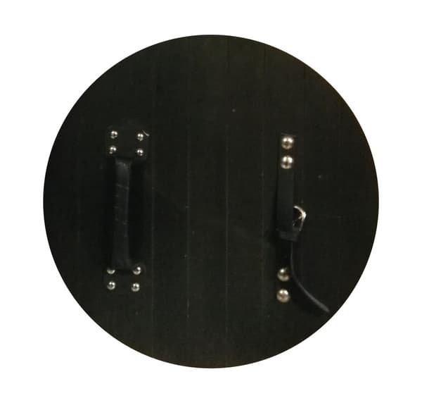 Trämedeltida fyra ormar Viking Shield SWE80