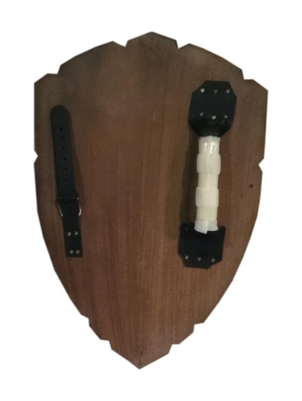 Wooden Legend of Zelda Curved Shield SWE101