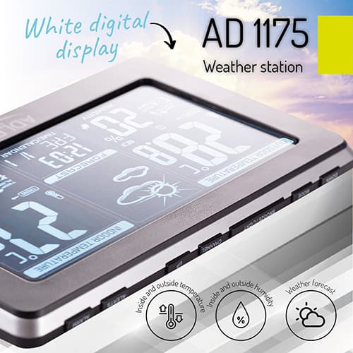 AD 1175 Vejrstation