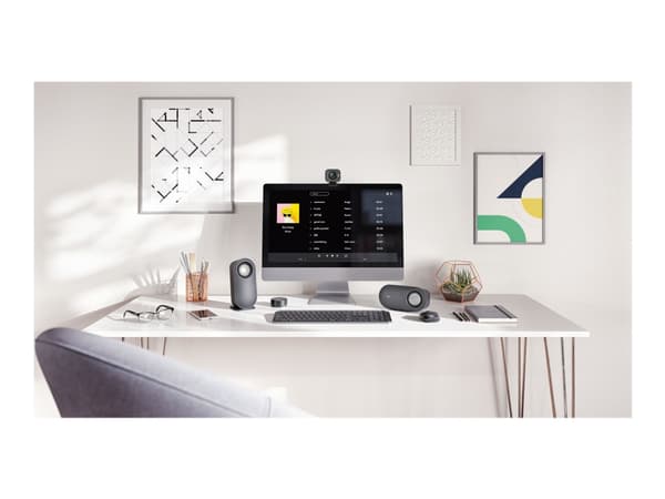 Logitech StreamCam - Webkamera - farve - 1920 x 1080 - 1080p - audio - USB-C 3.1 Gen 1 - MJPEG, YUY2 - GRAPHITE