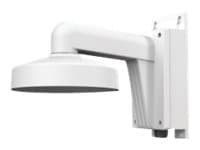 LevelOne CAS-7316, Kiinnitys, Universaali, Alumiini, LevelOne, FCS-3085, Kiina