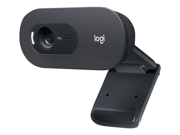 Logitech C505e - Nettkamera - farge - 720p - fastfokal - lyd - USB Sort