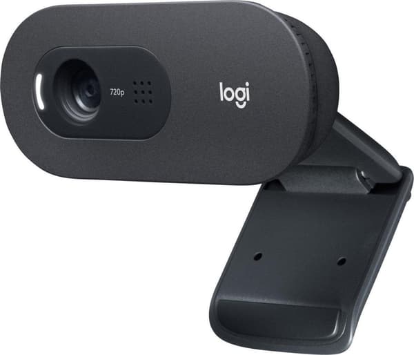 Logitech C505e webcam 1280 x 720 pixels USB Sort