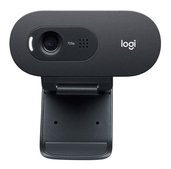 Logitech C505e Svart