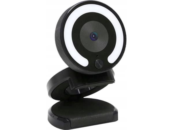 Kamera internetowa Foscam Foscam W28, webcam (black)