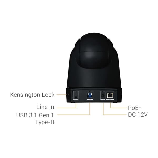Nettikamera AVer DL30