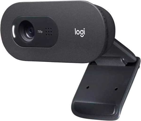 Logitech C505 HD-webbkamera - Streamingwebbkamera, 720p HD extern USB-kamera - Grå