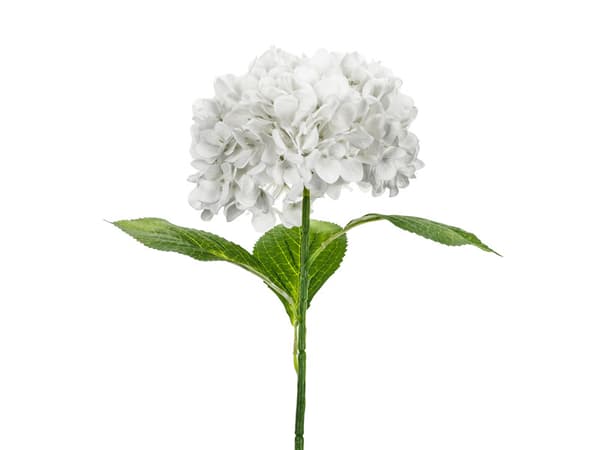 Tekokukka - Hortensia Premium, 69 cm, valkoinen