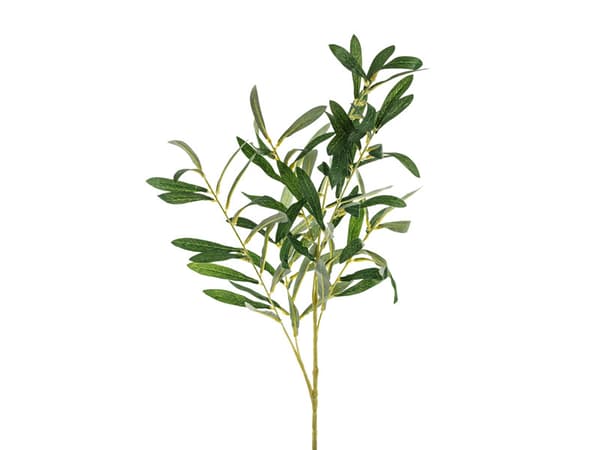 Oliivinoksa, 91 cm