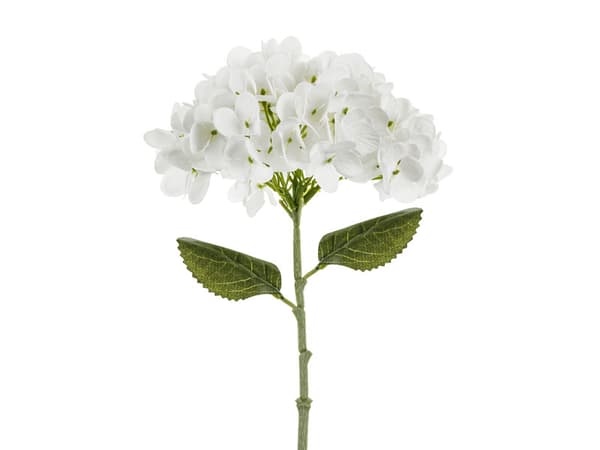 Tekokukka - Hortensia, 35 cm, valkoinen