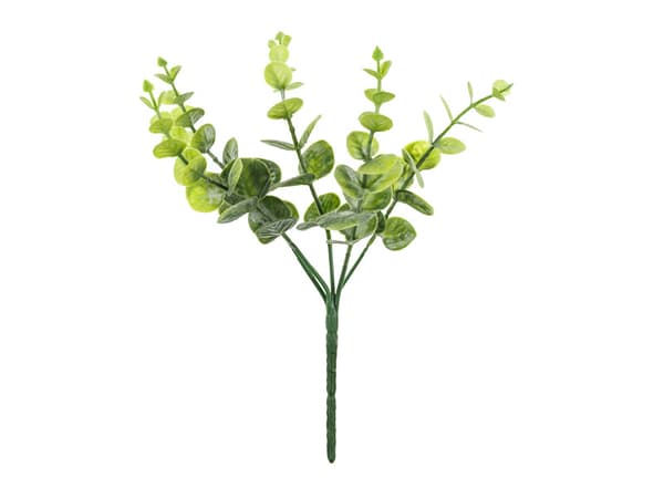 Eukalyptusgren, 27 cm