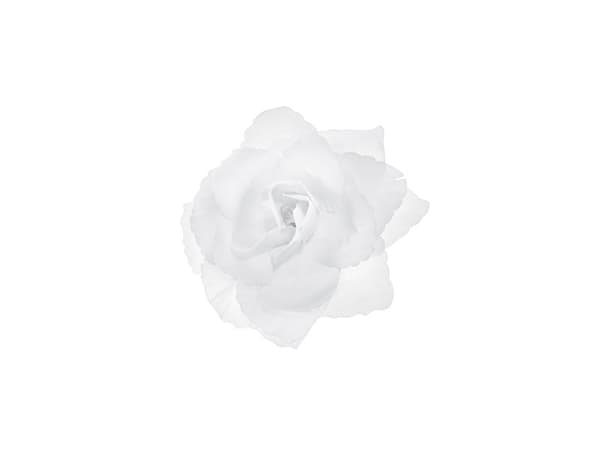 Selvklæbende roser, hvide, 9 cm (1 pakke / 24 stk.)