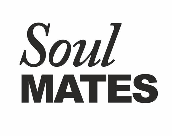 Soulmates-kenkätarrat (1 pkt / 40 pakkausta) (1 pkt / 2 kpl)