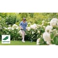 Miniatyrbillede 4 af 6: EasyGrass Cut 18V-260 græstrimmer med 2x2,0 Ah Bosch