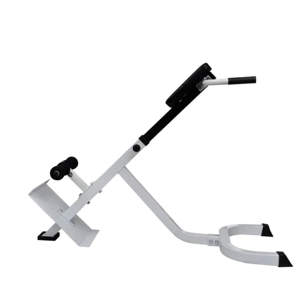vidaXL Ryggtrener