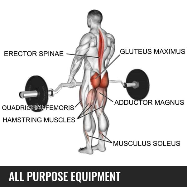 221,28 cm 317,51 kg kapacitet säkerhets squat bar med axel- och nackskydd, halkfri design, för olika träningar