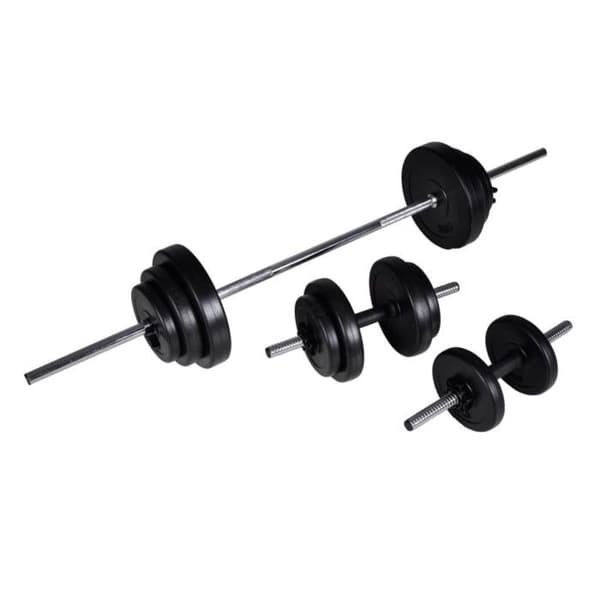 vidaXL 2x Hantel 30,5 kg Fitness Träning Bodybuilding Styrketräning 90377