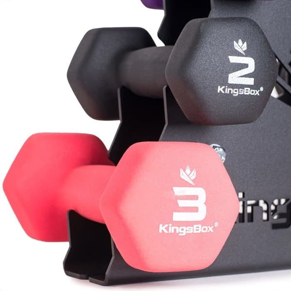 Stång - hantel - Kingsbox vikt - 1
