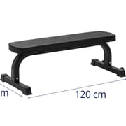 Gymrex Träningsbänk - upp till 150 kg - 1110 x 285 mm