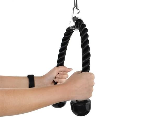 Triceps tau