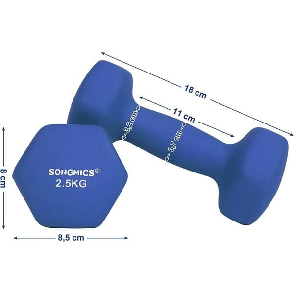 Rootz Hantlar Set - 2,5 kg per hantlar - Blå hantlar - Vikter och hantlar - 2 stycken