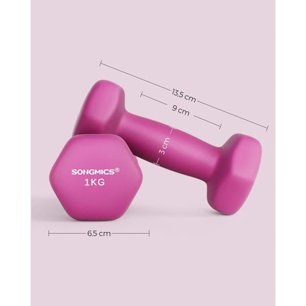 Rootz Neoprenbelagda hantlar - Rosa - Gjutjärn - Viktset - Styrketräning - 13,5 cm x 6,5 cm - 2 kg - 9 cm x 3 cm