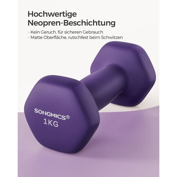 Rootz neoprenbelagda hantlar - Lila handvikter - Gjutjärn - Styrketräning - Neoprenbeläggning - Kompakt storlek - 13,5 cm x 6,5 cm - 2 kg totalvikt
