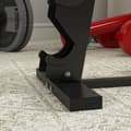 Miniatyrbild 8 av 10: Rootz SPORTNOW Hantelställ - Viktställ - Hantelhållare - Utrymmesbesparande design - Hållbar konstruktion - Skyddsegenskaper - 35cm x 33cm x 66cm - St