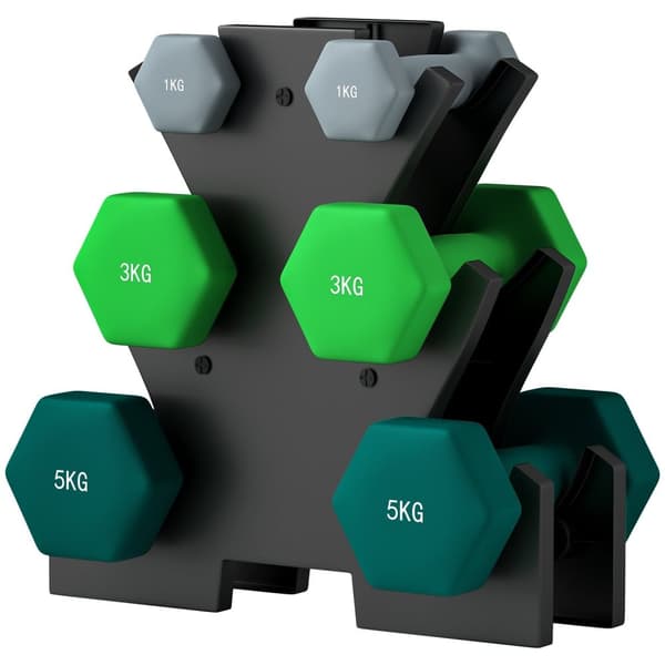 Rootz Dumbell Set With Rack - Fitness Weights - Training Dantgs - Anti -Roll Design - 34W X 10D X 34H CM