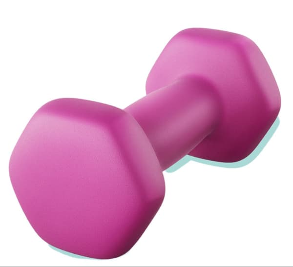 Rootz hanteluppsättning - Neoprenbelagda vikter - Fitnessvikter - Slip -resistent - 13,5 x 6,5 cm
