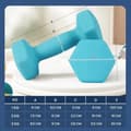 Miniatyrbillede 4 af 6: Rootz Dumbbell Set - 3 par - håndvægte - Neoprenbelagt - Styrke muskler - 1 kg/2 kg/3 kg - 13,5x6,5x6cm, 16x8x7,5 cm, 20x9x8,5 cm