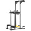 Miniatyrbild 1 av 10: Gymrex Chins-/dipsställning - 135 kg