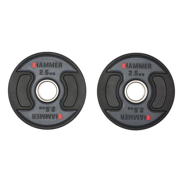 Finnlo Olympialevy 2.5kg 2 Yksiköitä Hopeinen 2.5 kg