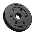 Pikkukuva 2 / 10: Bitumikuormasarja 30kg (8x1,25kg + 4x2,5kg + 2x5kg), reikä 31mm, REBEL ACTIVE