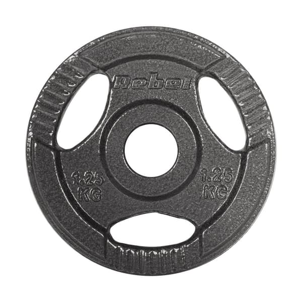 Gjutjärnsviktset 4x1,25kg, 31mm hål, platta med handtag, REBEL ACTIVE