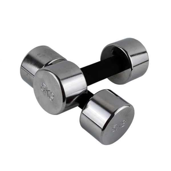 Kromhantlar MASTER 5 kg x 2