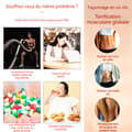 Miniatyrbild 3 av 4: Fitnessbälte - TD® - Magsticker - 150 mAh - 6 lägen - Ultra-lätt