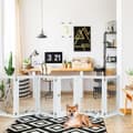Miniatyrbild 5 av 8: Hundgrind, 80.01x60.96x2.54 cm, Vit