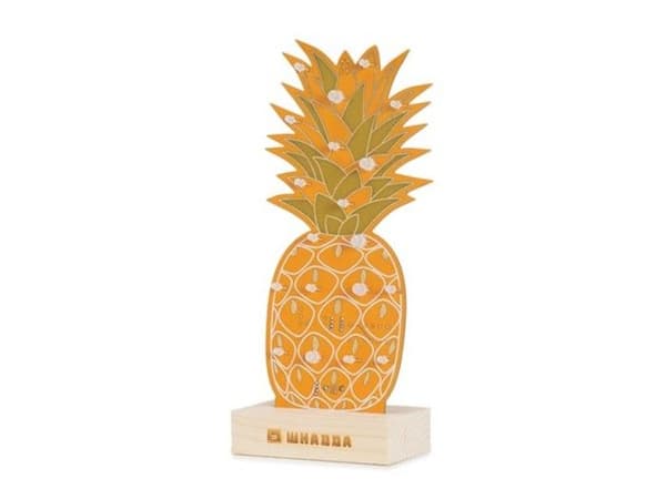 Whadda lödsats, Pineapple XL med 19 RGB-lysdioder och trästativ, kampanjset med gratis lödkolv och plåt
