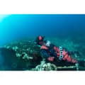 Miniatyrbild 5 av 10: Omer Spearfishing Jacka Red Stone 3 Mm Röd L
