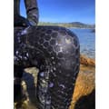 Miniatyrbild 2 av 4: Epsealon Spearfishing Byxor Tactical Stealth 5 Mm Svart S